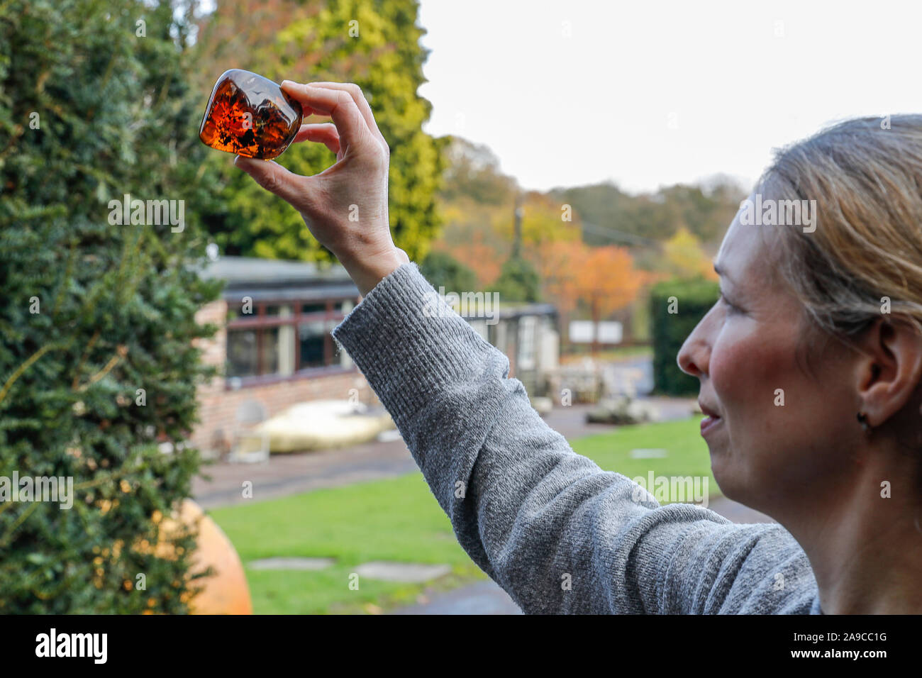 Stane Street, Ardenne. 14 novembre 2019. Un ensemble de très rares artefacts pour vente à la place de l'été, les ventes aux enchères en Ardenne à West Sussex, dans le cadre de leur 'évolution' collection. Stane Street, Ardenne. 14 novembre 2019. Un ensemble de très rares artefacts pour vente à la place de l'été, les ventes aux enchères en Ardenne à West Sussex, dans le cadre de leur 'évolution' collection. Credit : james jagger/Alamy Live News Banque D'Images