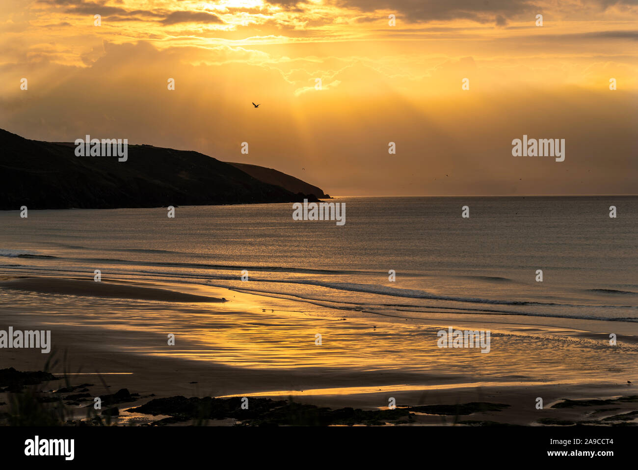 Lever du soleil tôt le matin, avec des faisceaux de lumière jaunes, lumière dorée réfléchie sur la surface de la mer, ciel doré avec des nuages, promontoire à l'horizon Banque D'Images