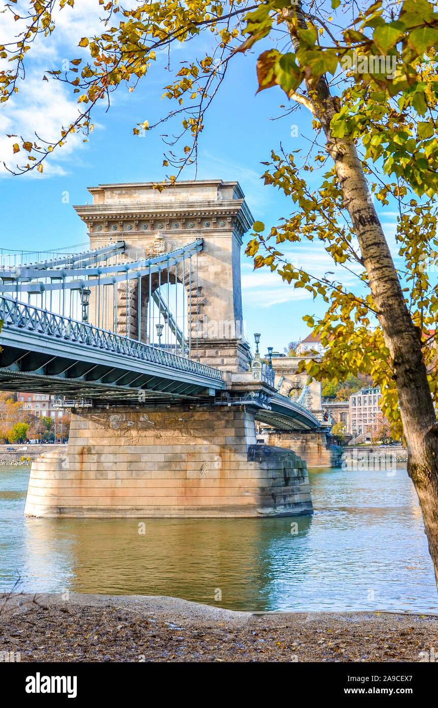Construction de la chaîne Szechenyi Pont sur le Danube à Budapest, Hongrie avec arbre d'automne sur le rivage. Le pont des Chaînes relie Buda et Pest. Attraction touristique. La capitale hongroise. Banque D'Images