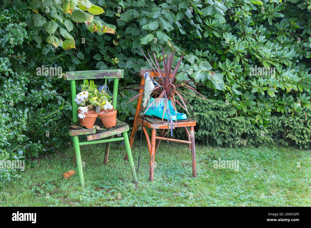 L'utilisation de vieux meubles pour des idées de jardinage, l'Allemagne, de l'Europe Banque D'Images