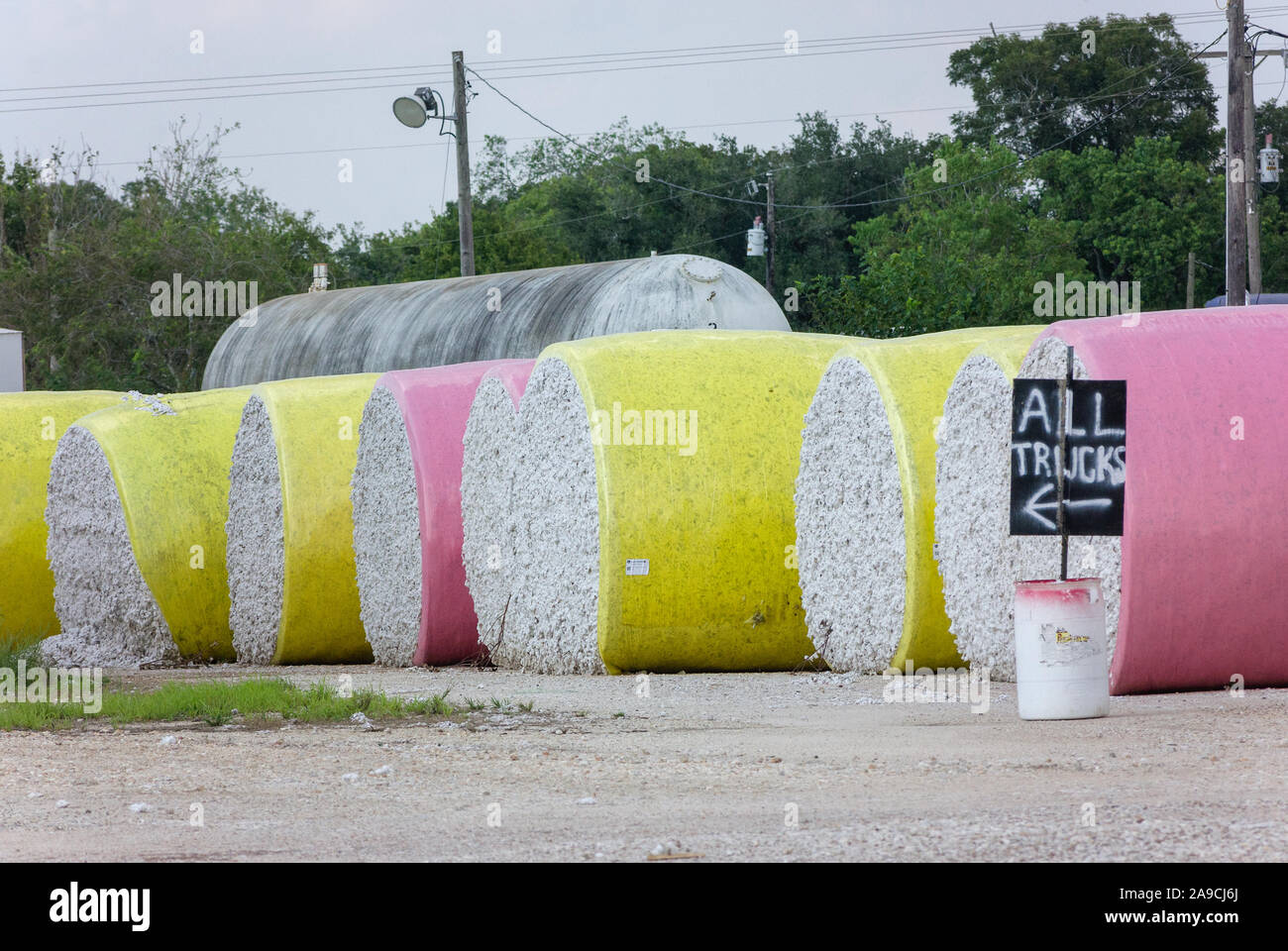 Modules de pluie de coton non égrené s'asseoir dans la cour à l'Organisation des coopératives agricoles après l'ouragan Harvey à Danevang, Texas. Banque D'Images