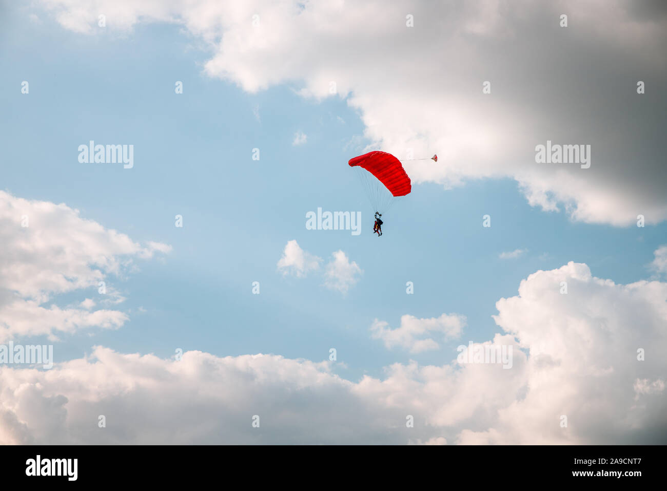 Parachutisme parachutiste en bleu ciel. Service militaire Banque D'Images