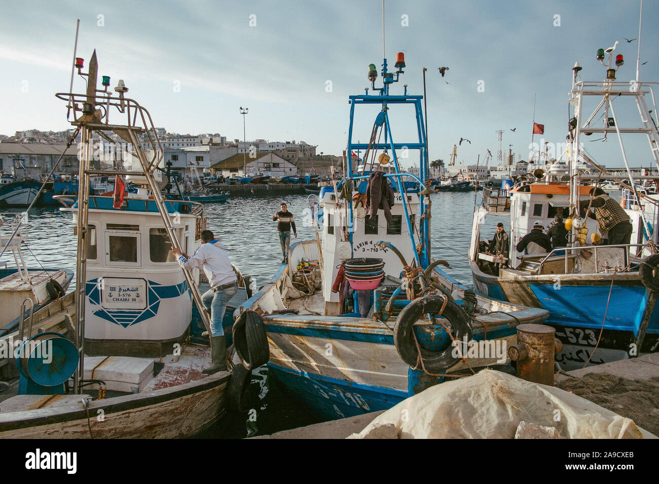 Au port de pêche de Tanger, Maroc Banque D'Images