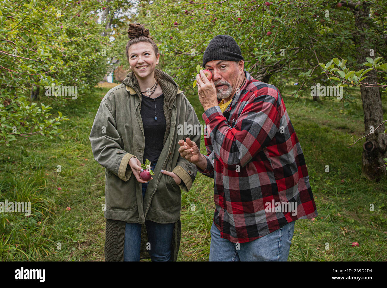Père et fille prévues journée ensemble la cueillette des pommes Banque D'Images