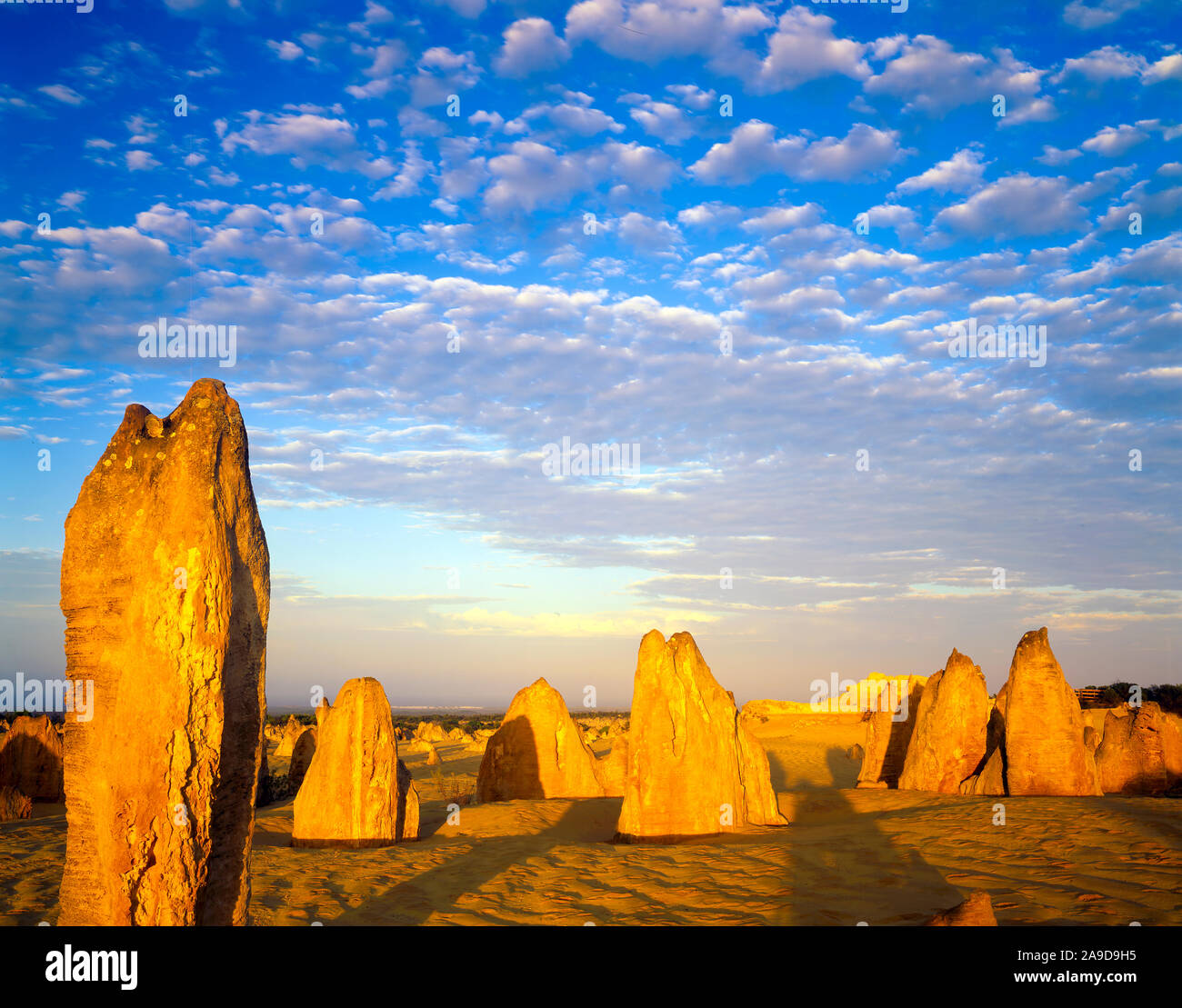 Désert des Pinnacles au coucher du soleil, Parc Nationale Nambung, l'Australie, l'Océan Indien près de piliers de calcaire Banque D'Images