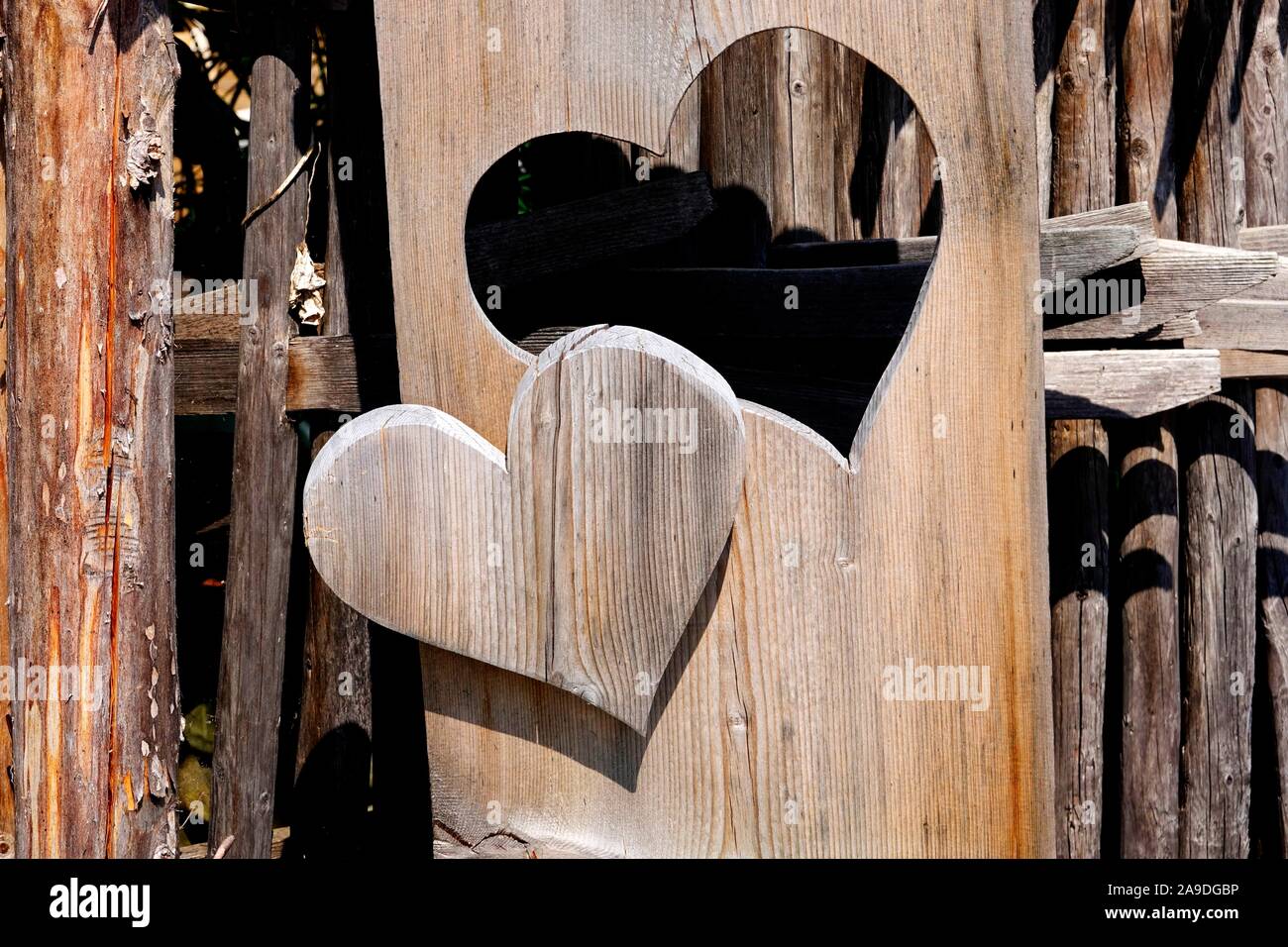 Coeur en bois dans Rubi près de Oberstdorf Allgaeu Bayerisch souabe,,, Bavière, Allemagne Banque D'Images