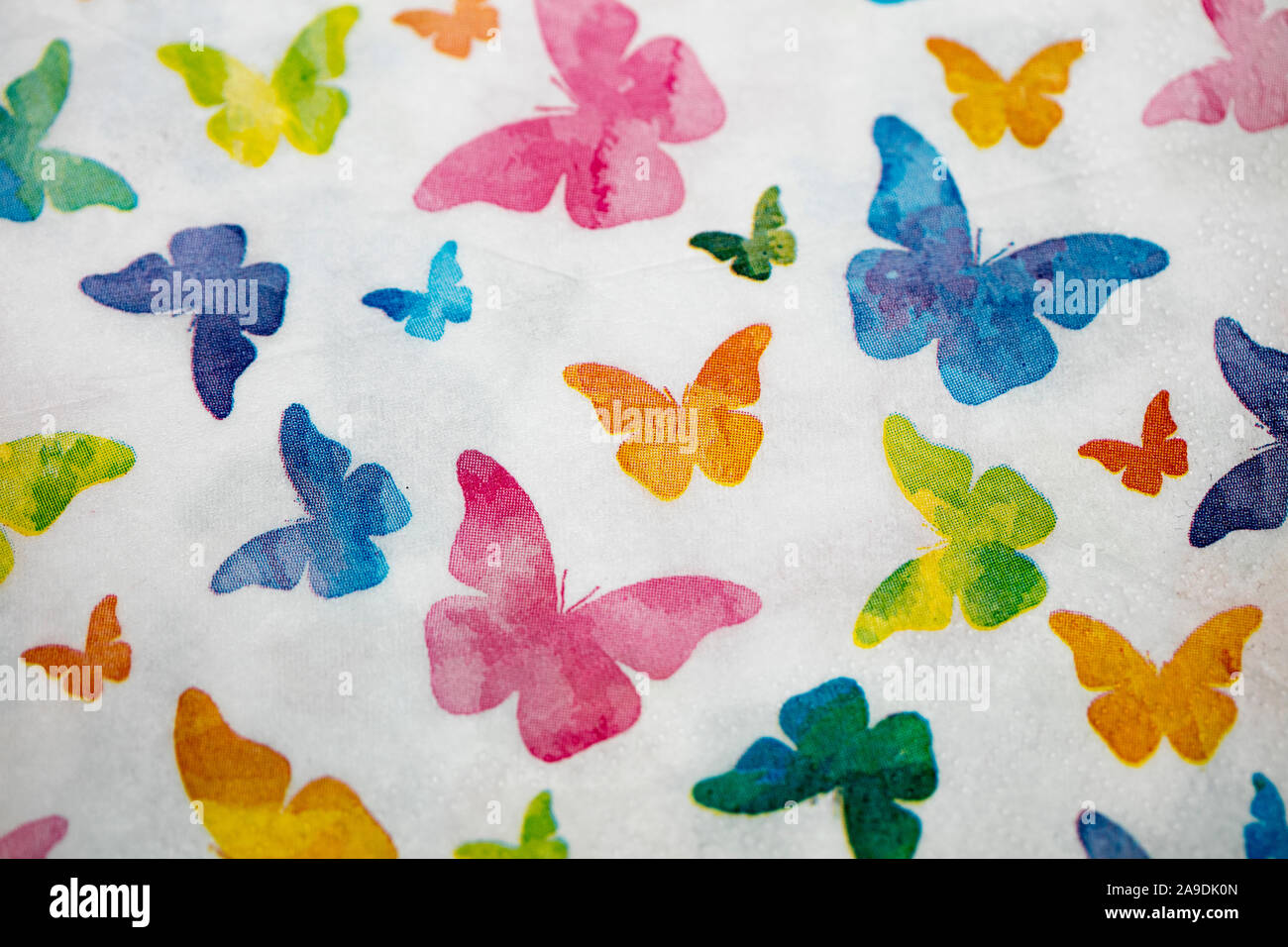 Formes papillons colorés sur fond blanc 50 macro mégapixels Banque D'Images