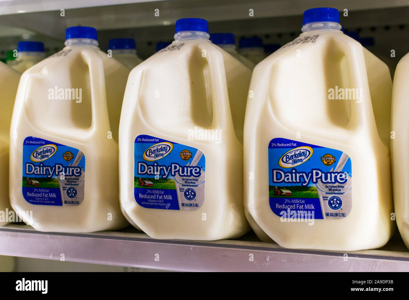 DairyPure le lait, une marque de Dean Foods, une épicerie. Dean Foods, America's biggest transformation du lait, a déclaré faillite Banque D'Images