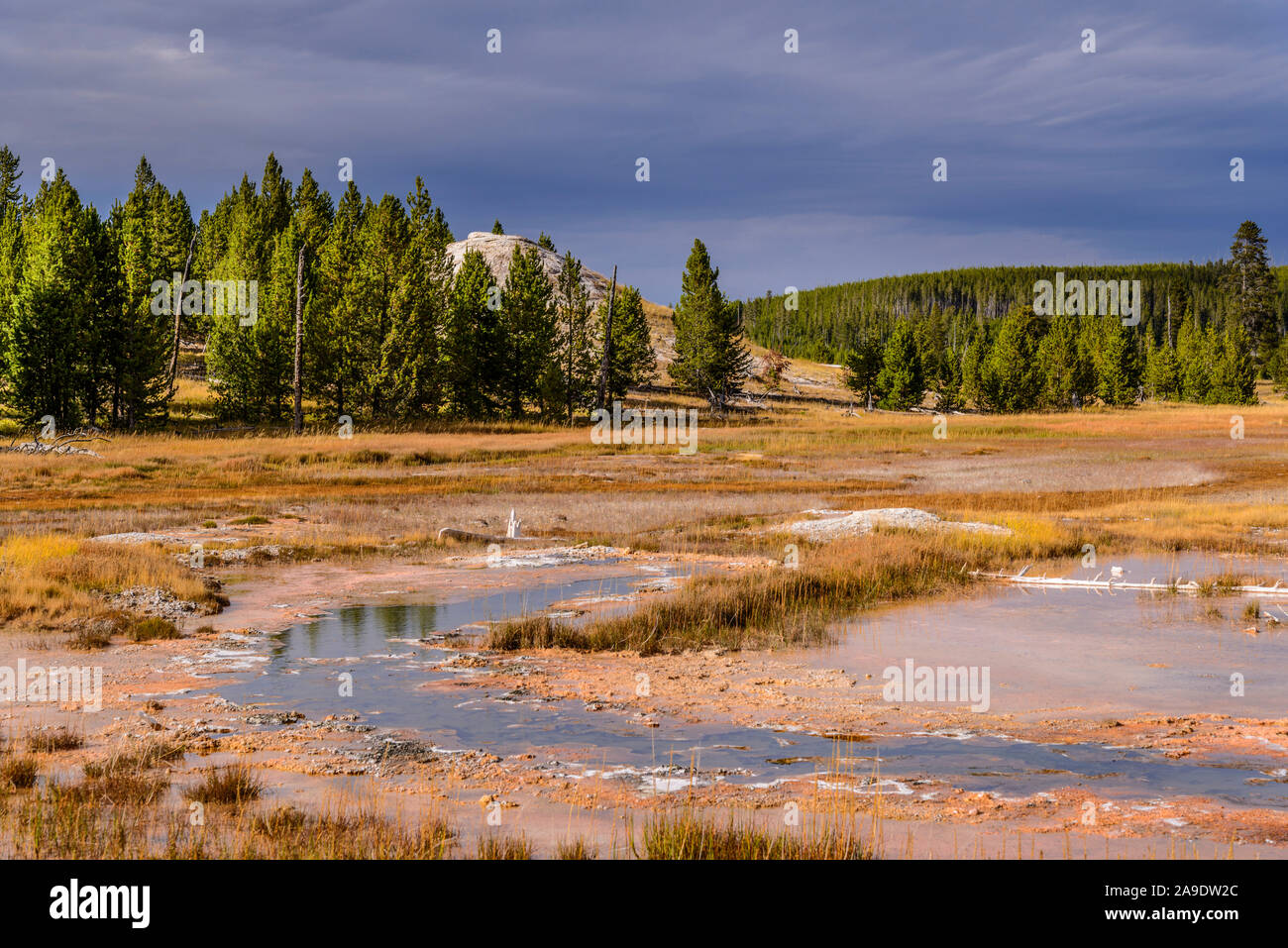 USA, Wyoming, Yellowstone National Park, Old Faithful, Upper Geyser Basin, Daisy Geyser Banque D'Images