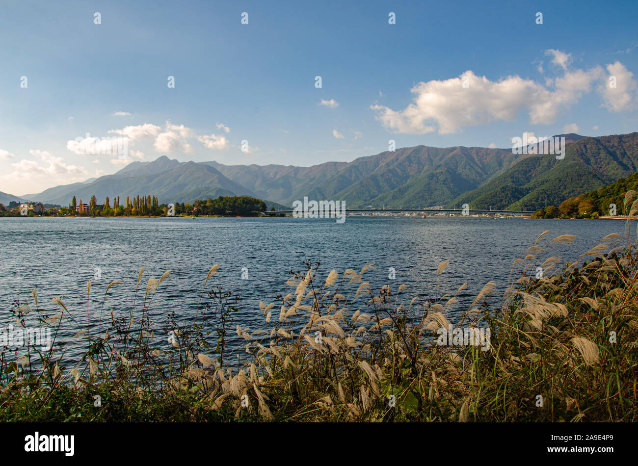 Lac Kawaguchi au Japon Banque D'Images