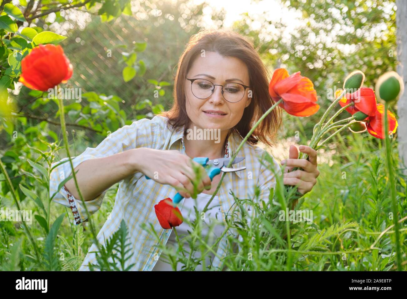 Femme d'âge moyen dans la nature fleurs coquelicots rouges coupe Banque D'Images