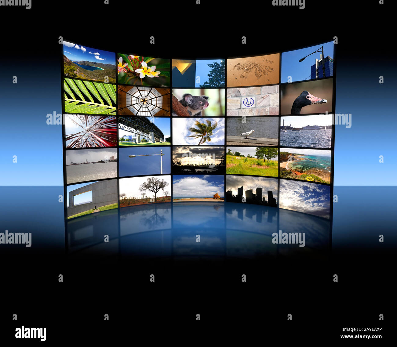 Une illustration d'un grand plat de bord Banque D'Images