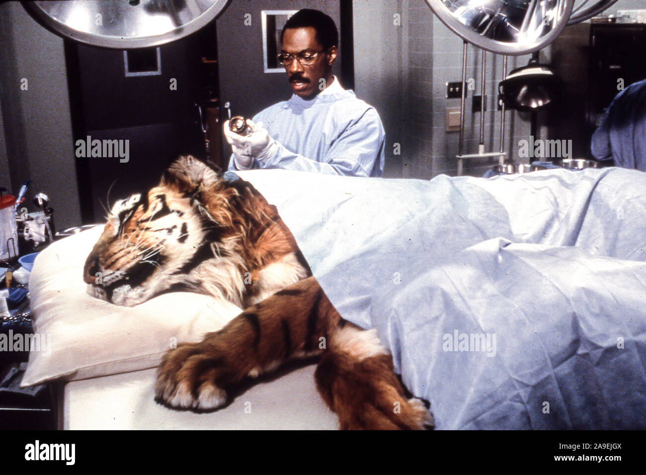 Dr dolittle 1998 eddie murphy Banque de photographies et d’images à haute résolution Alamy
