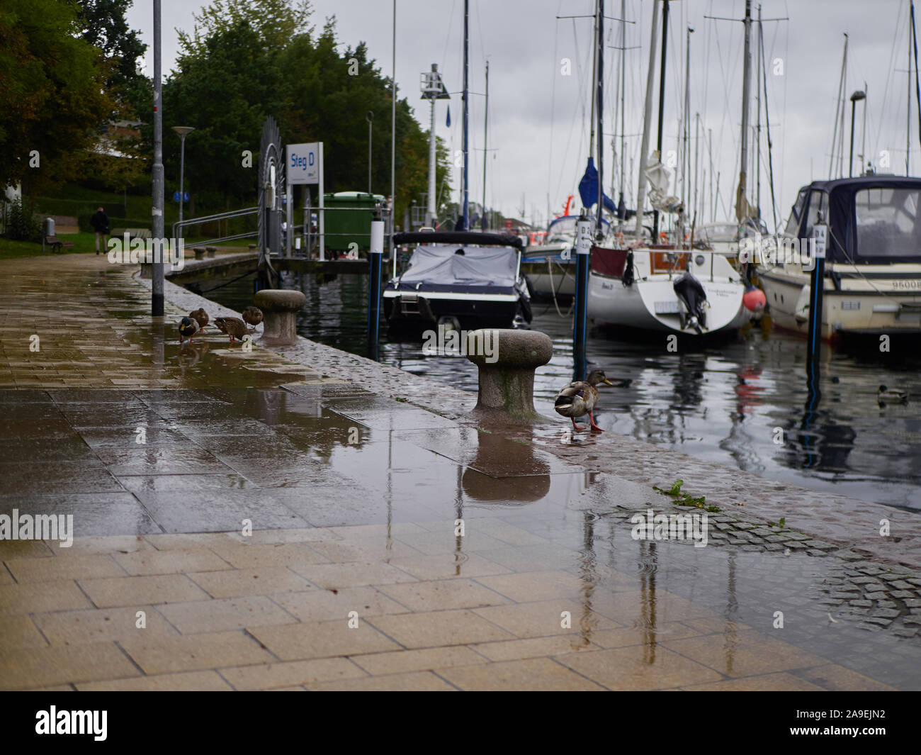 Port avec bateaux disponibles sur la saison d'hiver Banque D'Images