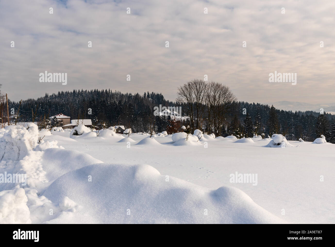 Paysage d'hiver avec quelques maisons isolées, colline couverte de forêt et beaucoup de neige au-dessus du village de Bukovec partie la plus orientale de la République tchèque près de borde Banque D'Images