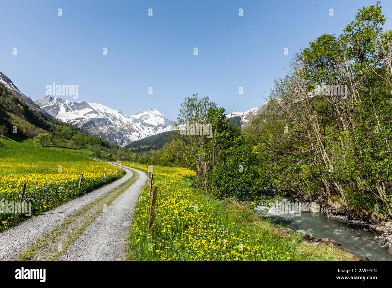 Sur le chemin du ruisseau de montagne Banque D'Images