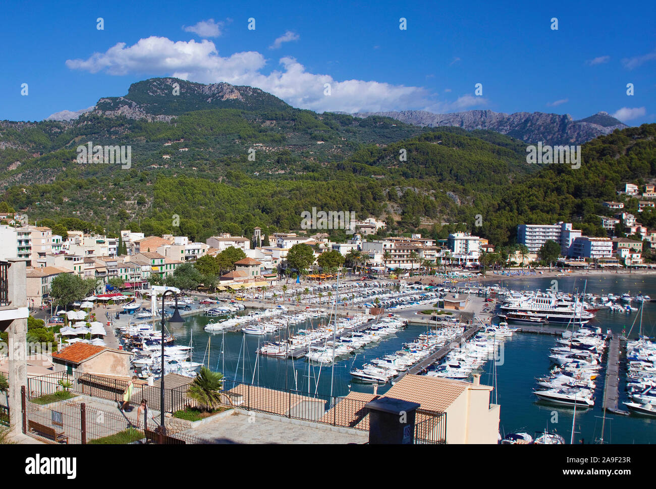 Port de Soller, ville portuaire à nord-ouest de Mallorca, Majorque, îles Baléares, Espagne Banque D'Images