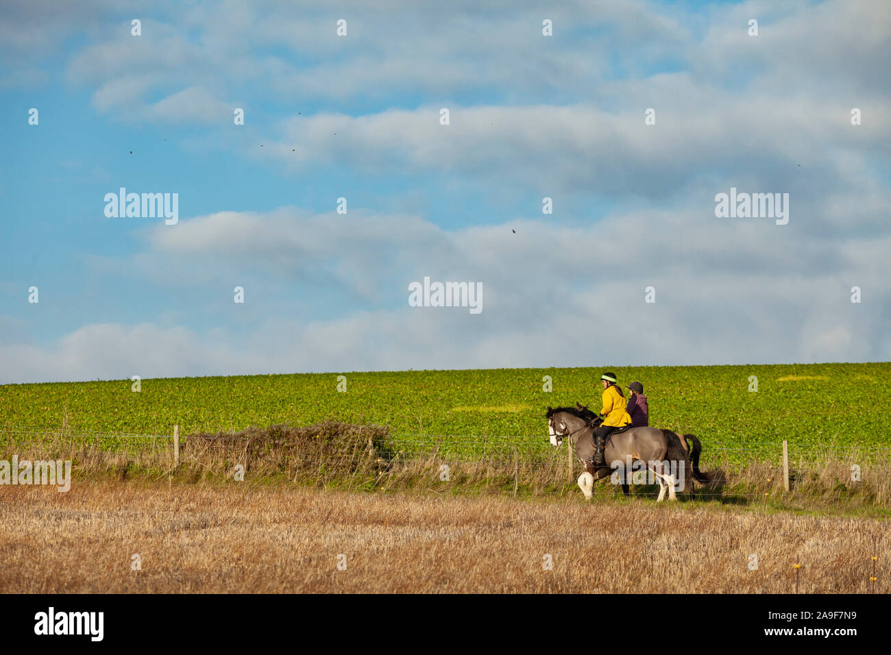 Les cavaliers dans le parc national des South Downs, West Sussex, Angleterre. Banque D'Images