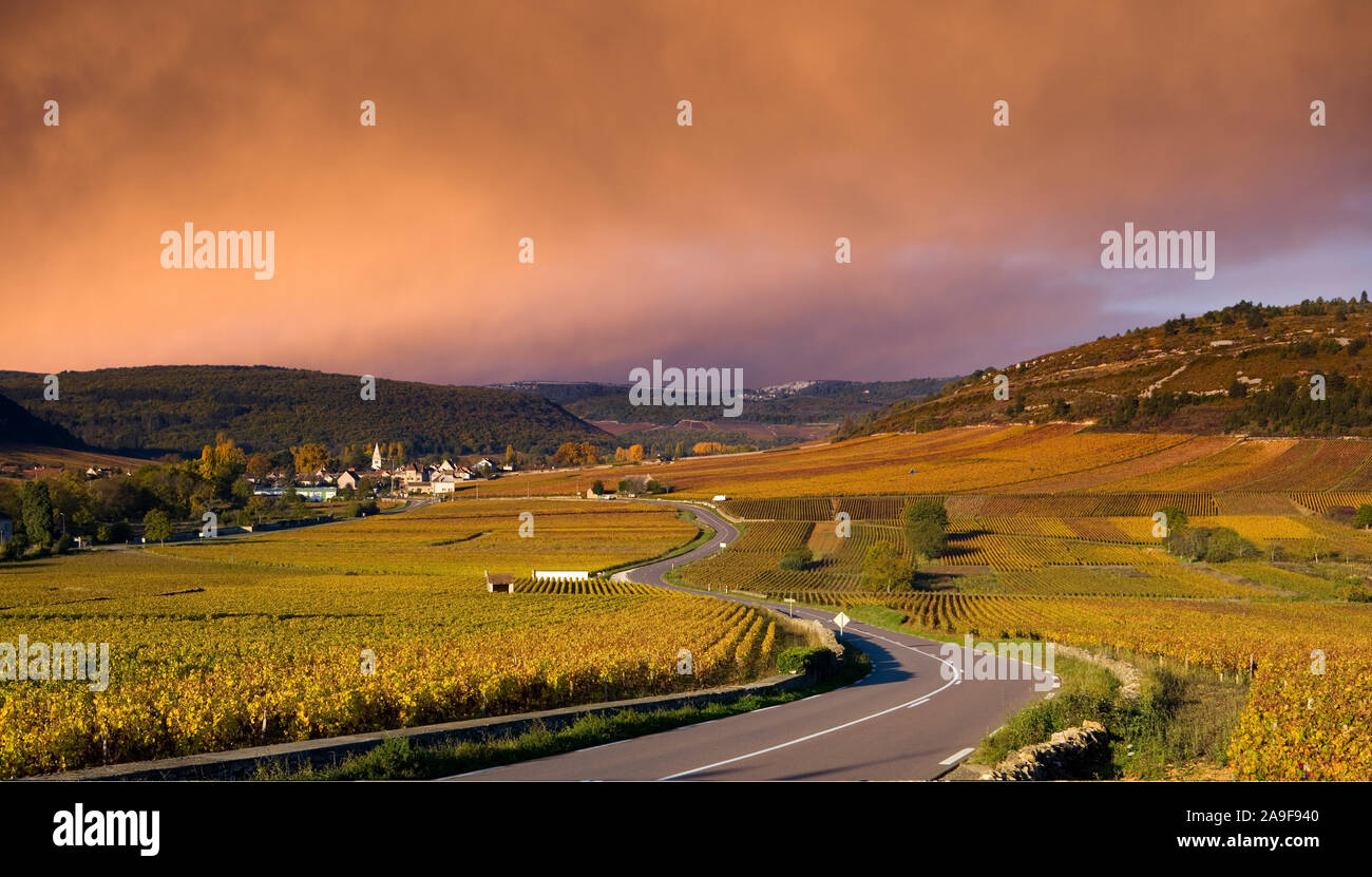 Vignobles de Bourgogne Banque D'Images