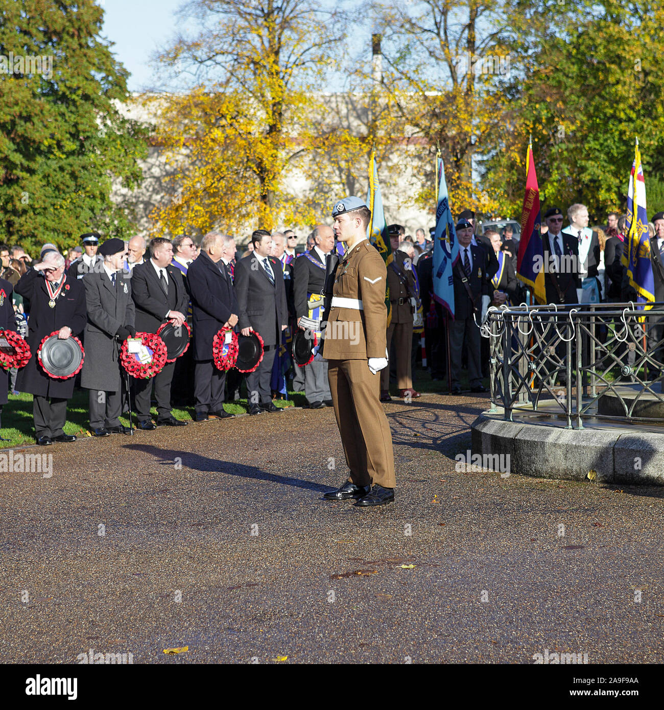 Commémorations du jour à Shrewsbury en ce beau dimanche matin de novembre. Banque D'Images
