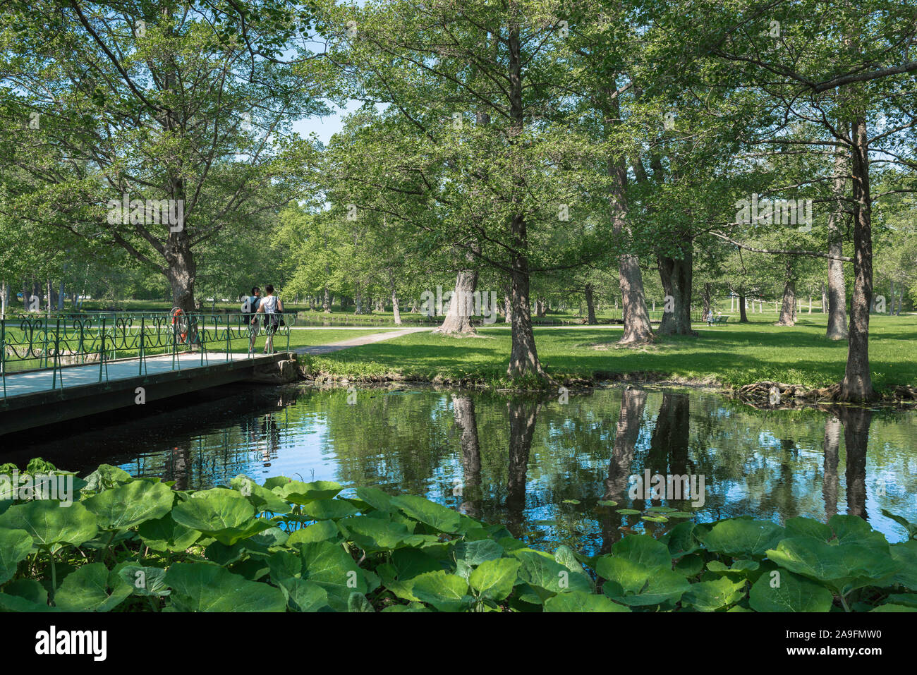 Parc de Drottningholm, vue d'un lac situé dans le parc à l'anglaise dans le parc du château de Drottningholm, dans l'ouest de Stockholm, Suède. Banque D'Images