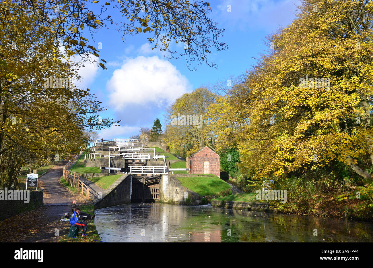 Prends cinq écluses, Bingley, West Yorkshire en automne Banque D'Images