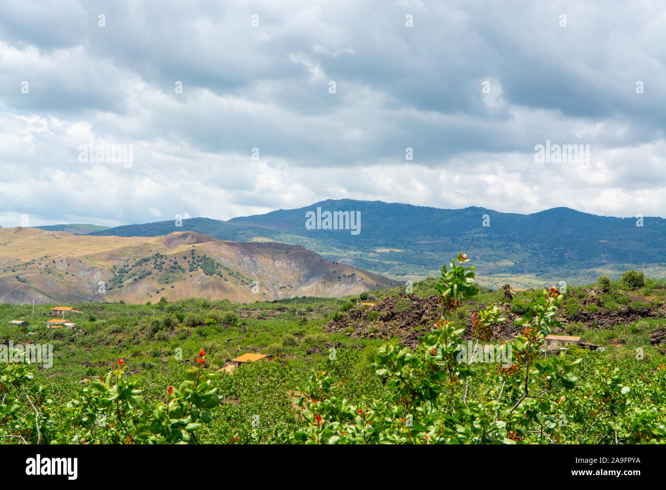 Paysage avec montagnes et vallée près de Bronte, pistachiers plantations sur l'île de la Sicile, au sud de l'Italie au printemps Banque D'Images
