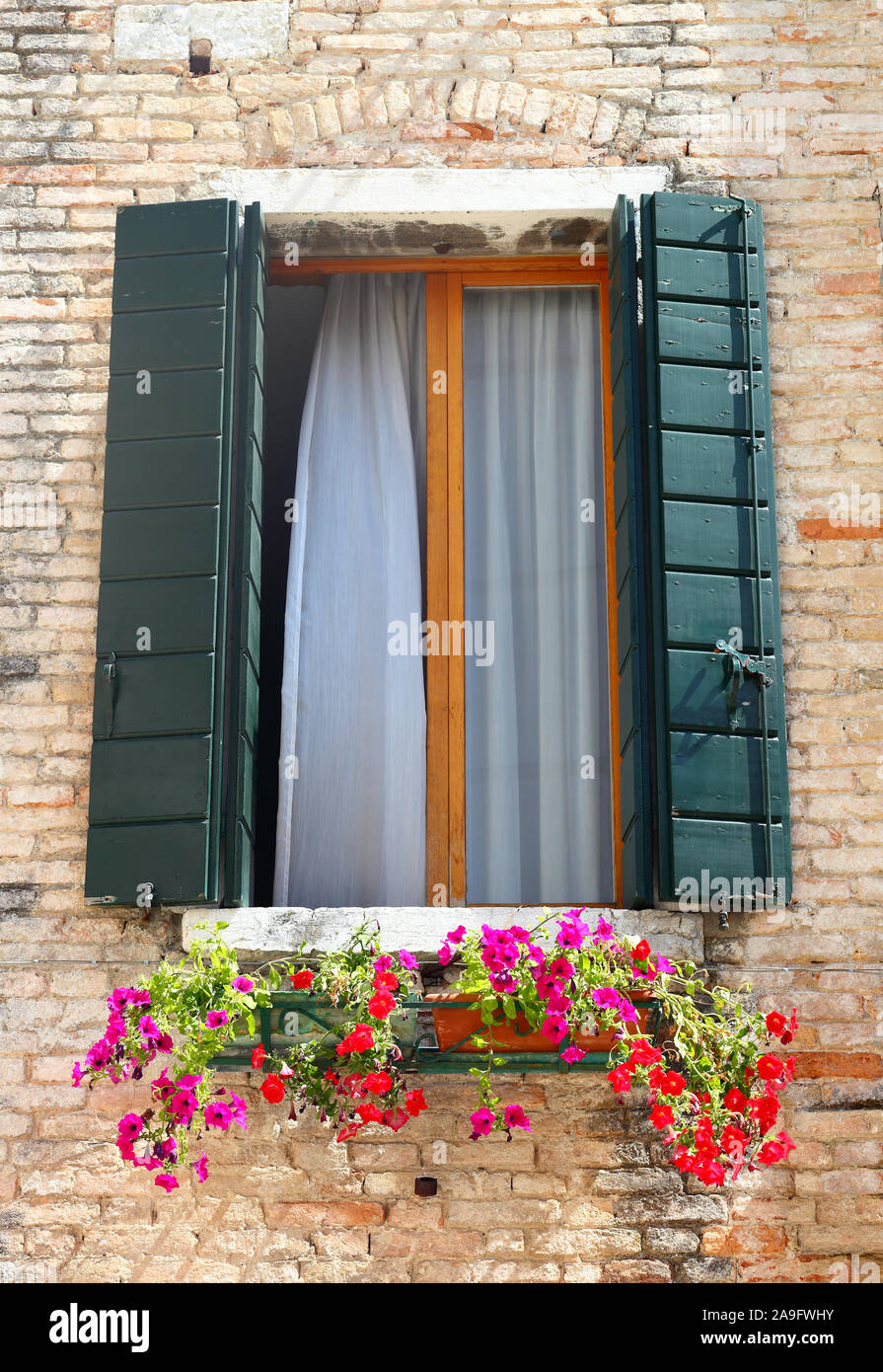 Fenêtre Fenêtre Venise avec semoir boîte pleine de fleurs Banque D'Images