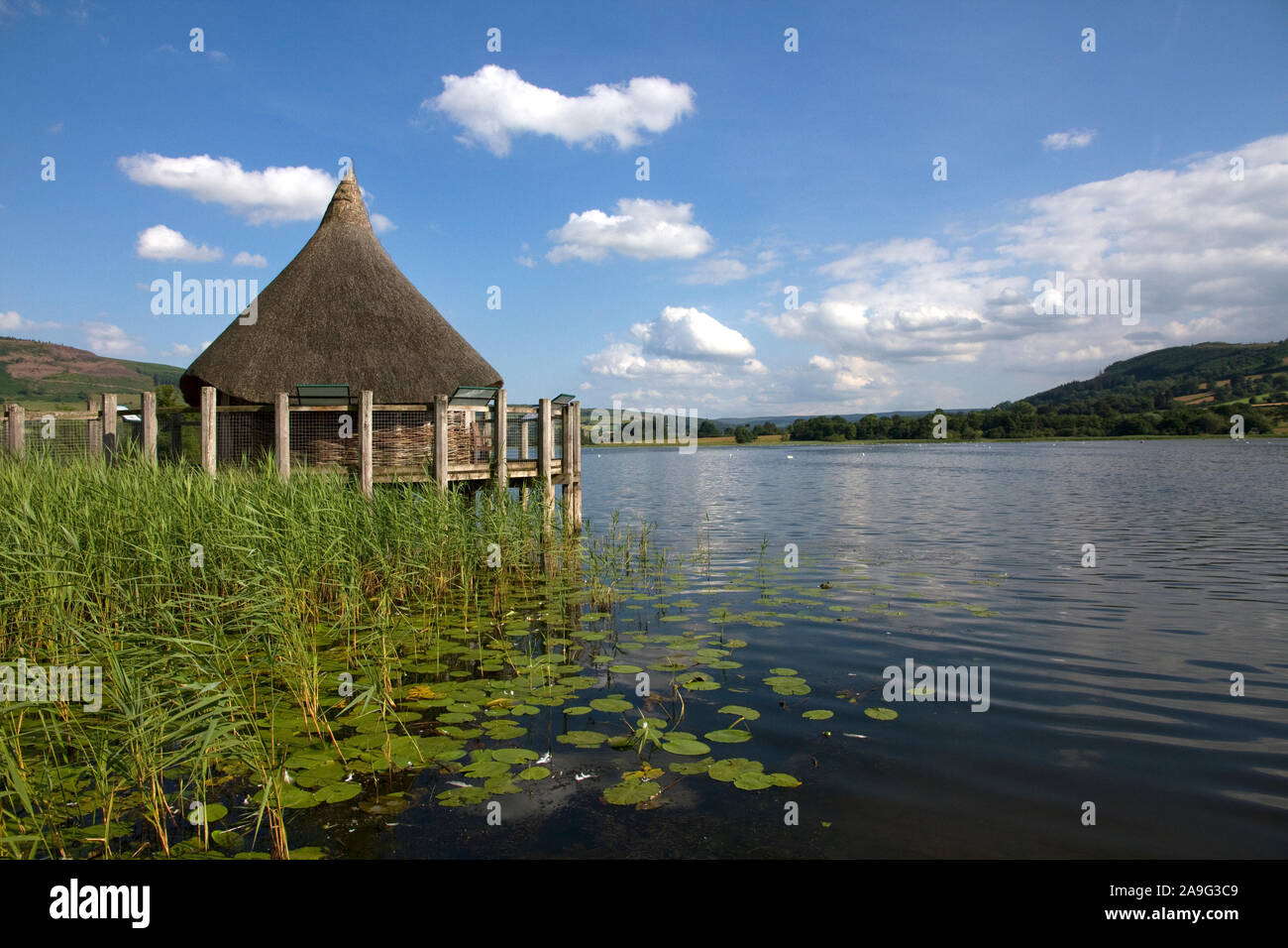 L'Âge du Fer (reconstruit), roundhouse Crannog Llangorse Lake, Brecon Beacons, Brecon, Powys, Wales, UK Banque D'Images