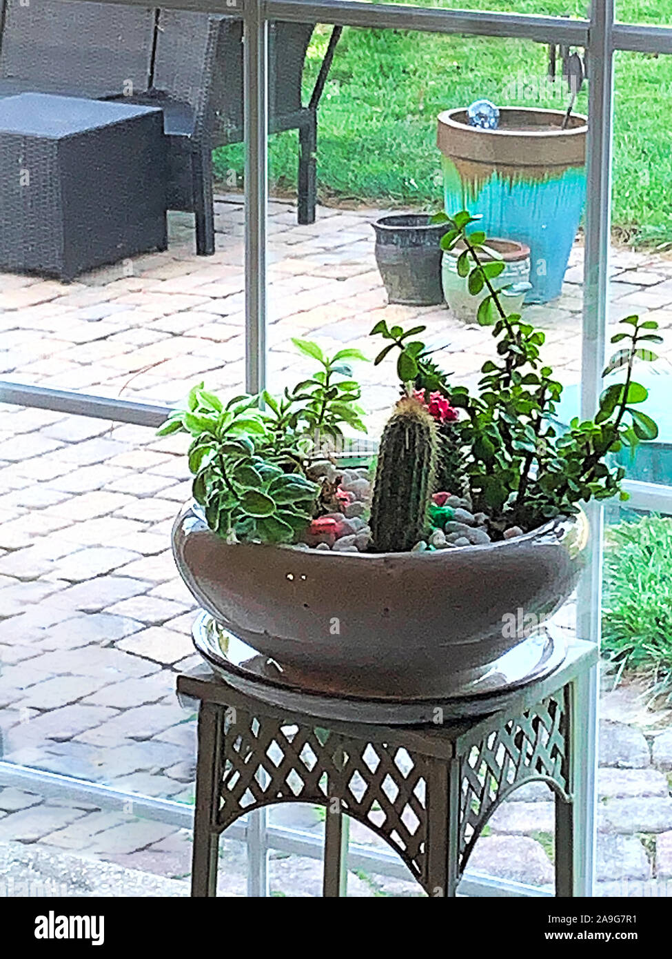 Peuplement de métal dans la cuisine avec des cactus dans un semoir avec vue sur patio extérieur grâce à des curseurs. Banque D'Images