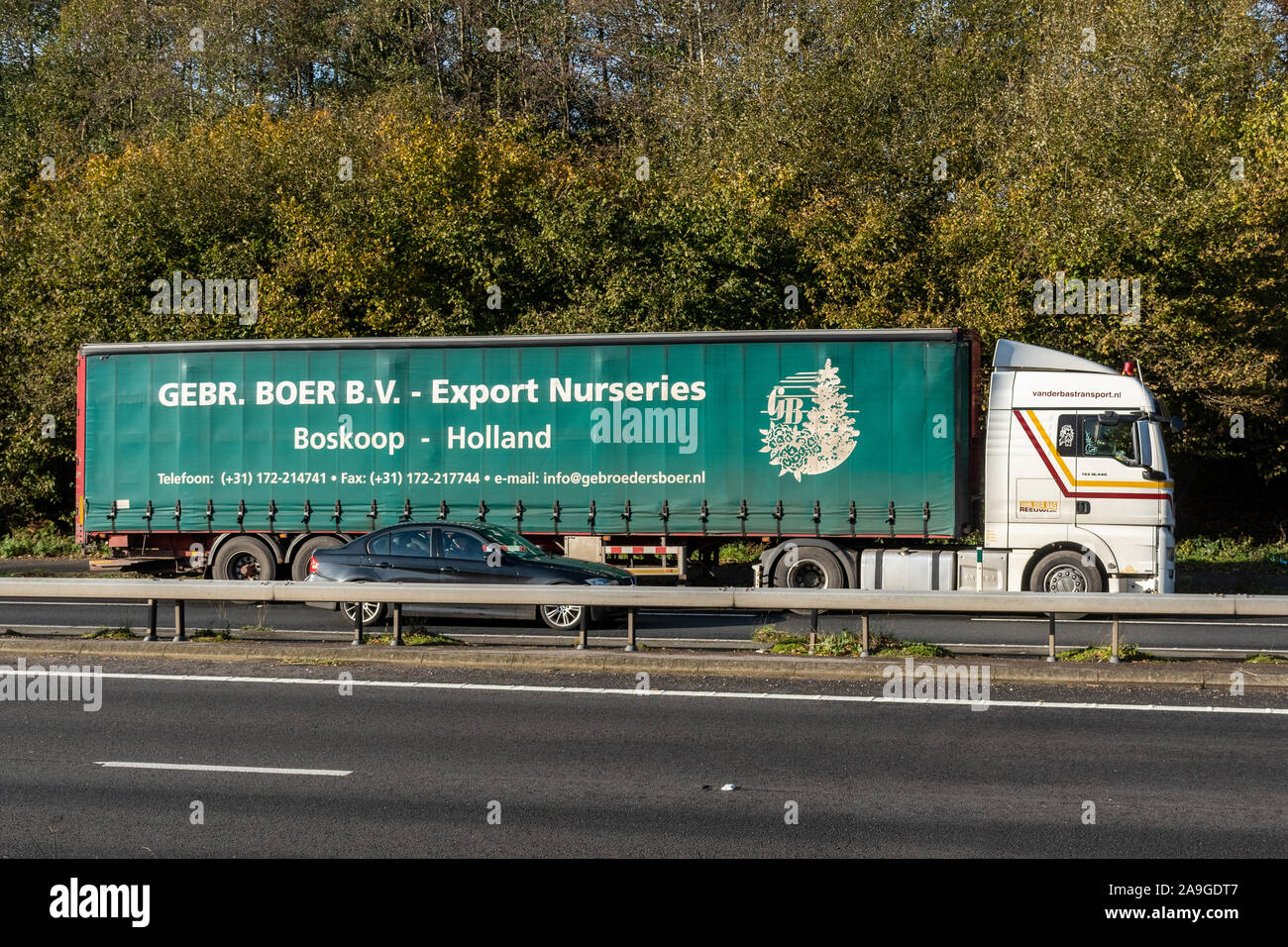 Gebr. Boer. Export B.V. ou camion, camion pépinières de Hollande, de conduire le long d'une route à deux voies, UK Banque D'Images
