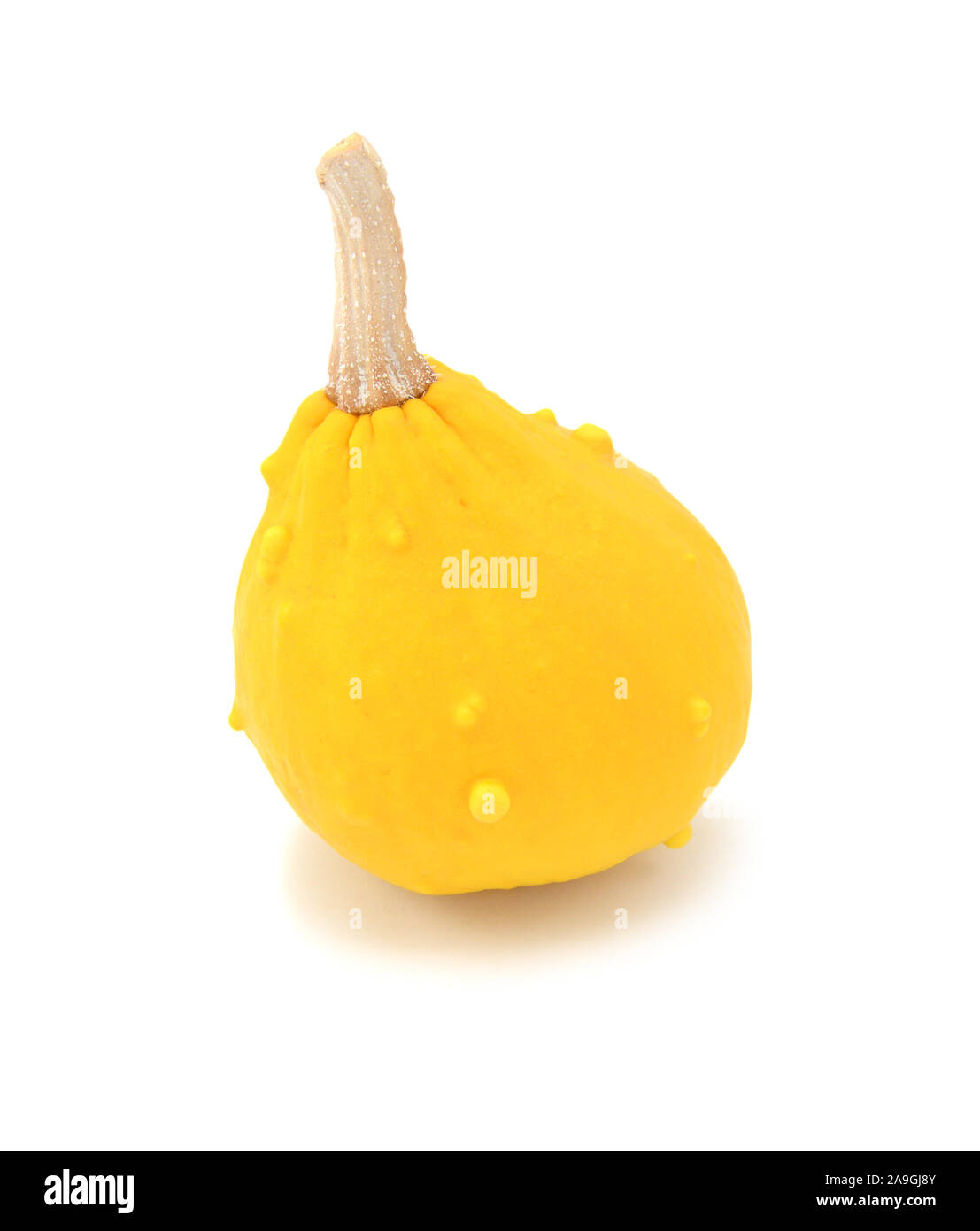 Ornement décoratif en forme de goutte gourd à peau jaune, sur un fond blanc Banque D'Images