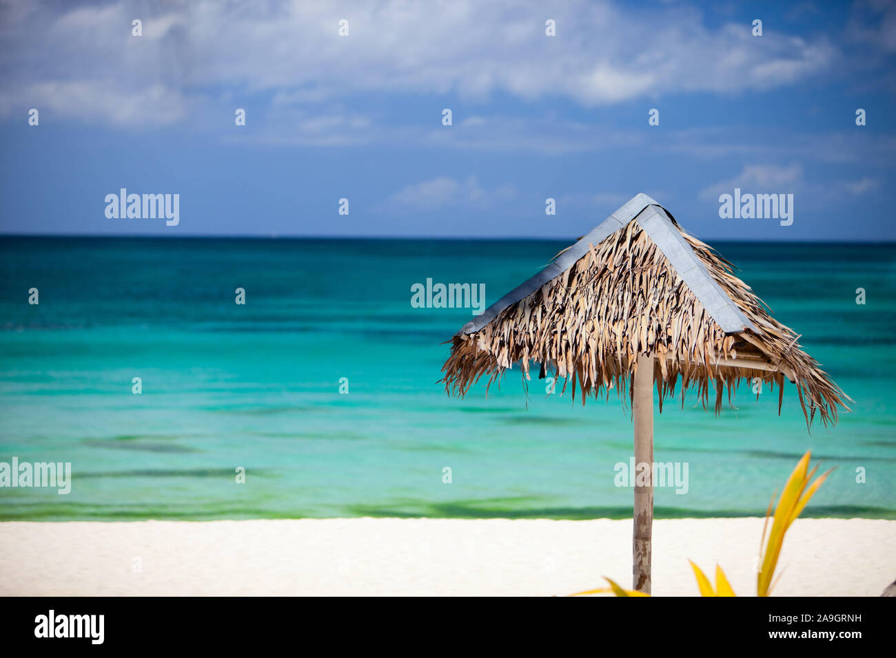 Boracay, Phillippinen, Insel, Strand, Palmen, Banque D'Images