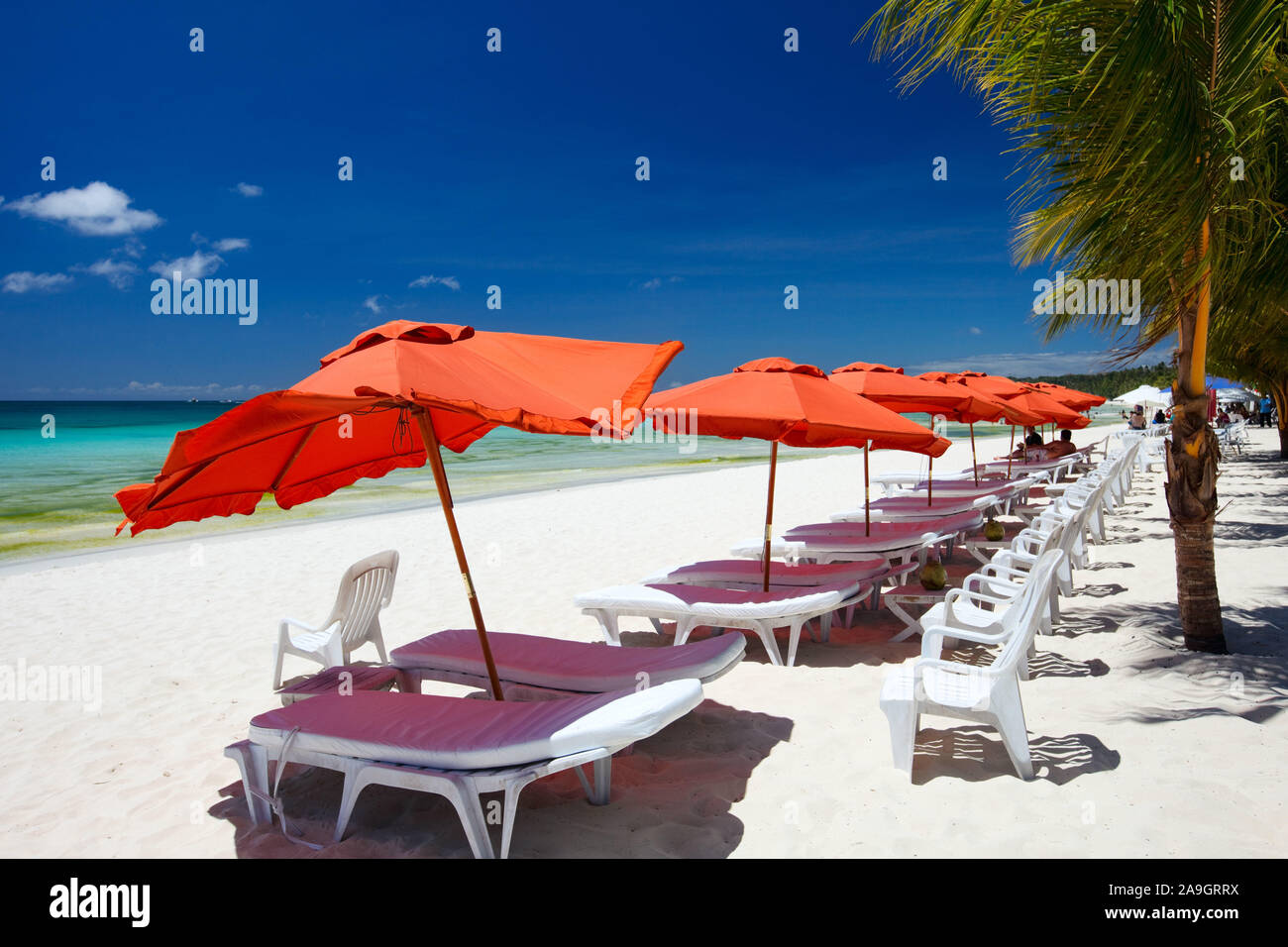 Boracay, Phillippinen, Insel, Strand, Palmen, Banque D'Images