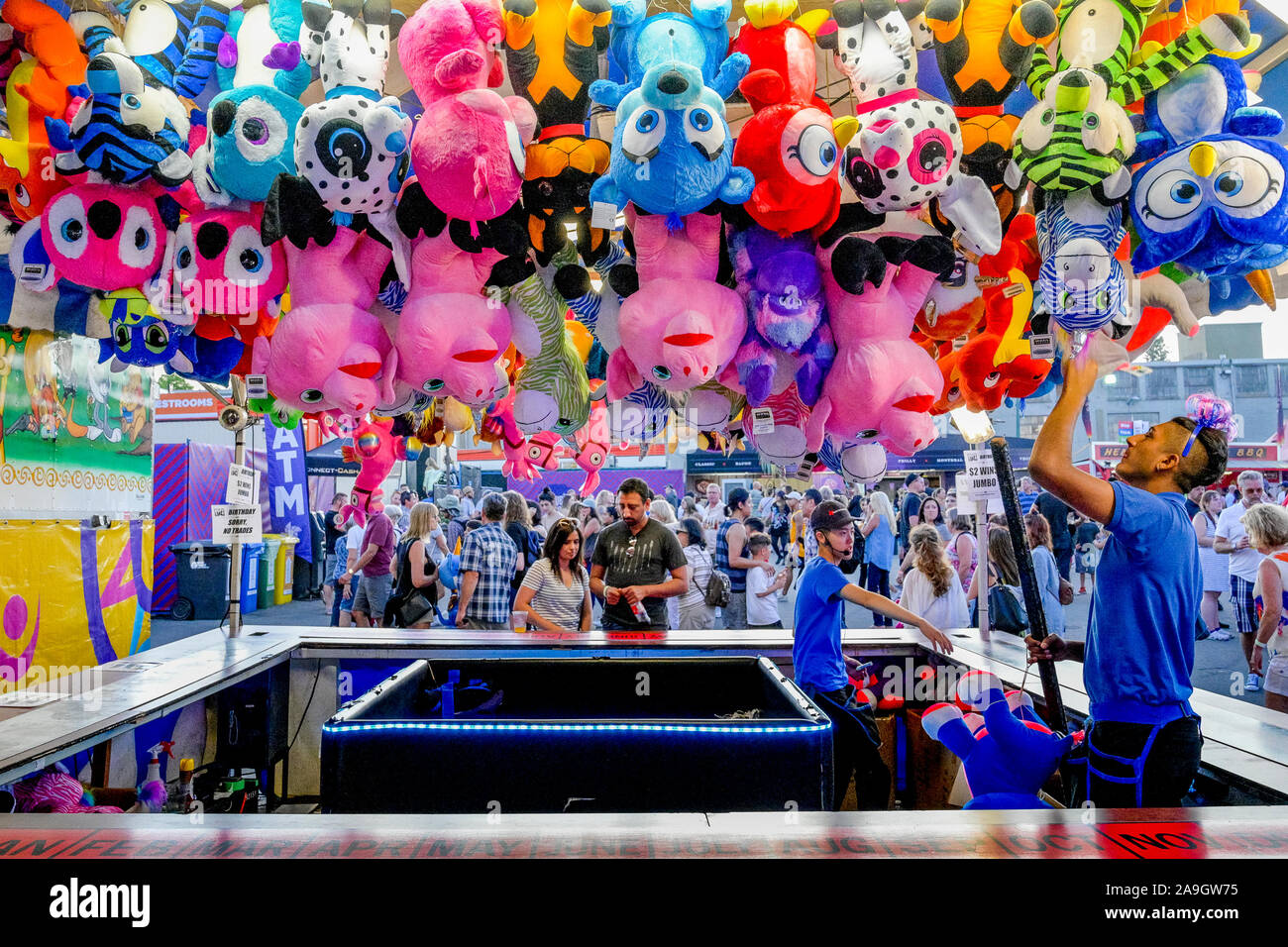 Animal en peluche prix au stand de jeu, Playland, Hastings Park, Vancouver, British Columbia, Canada Banque D'Images