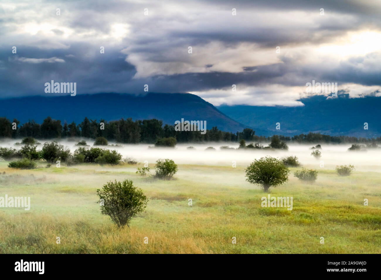 Dans le brouillard matin, Creston Valley, British Columbia, Canada Banque D'Images