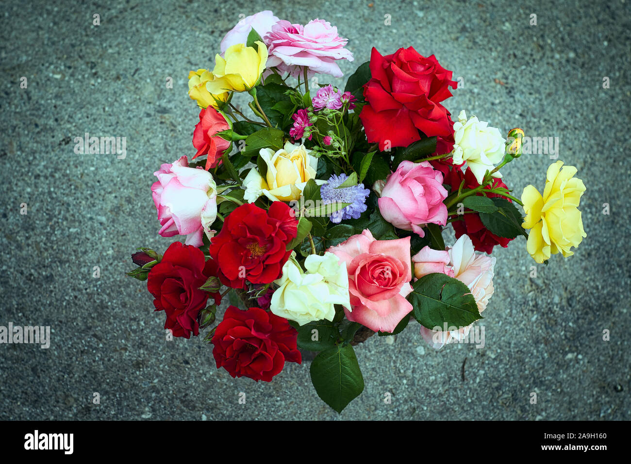 Bouquet de roses multicolores Banque D'Images