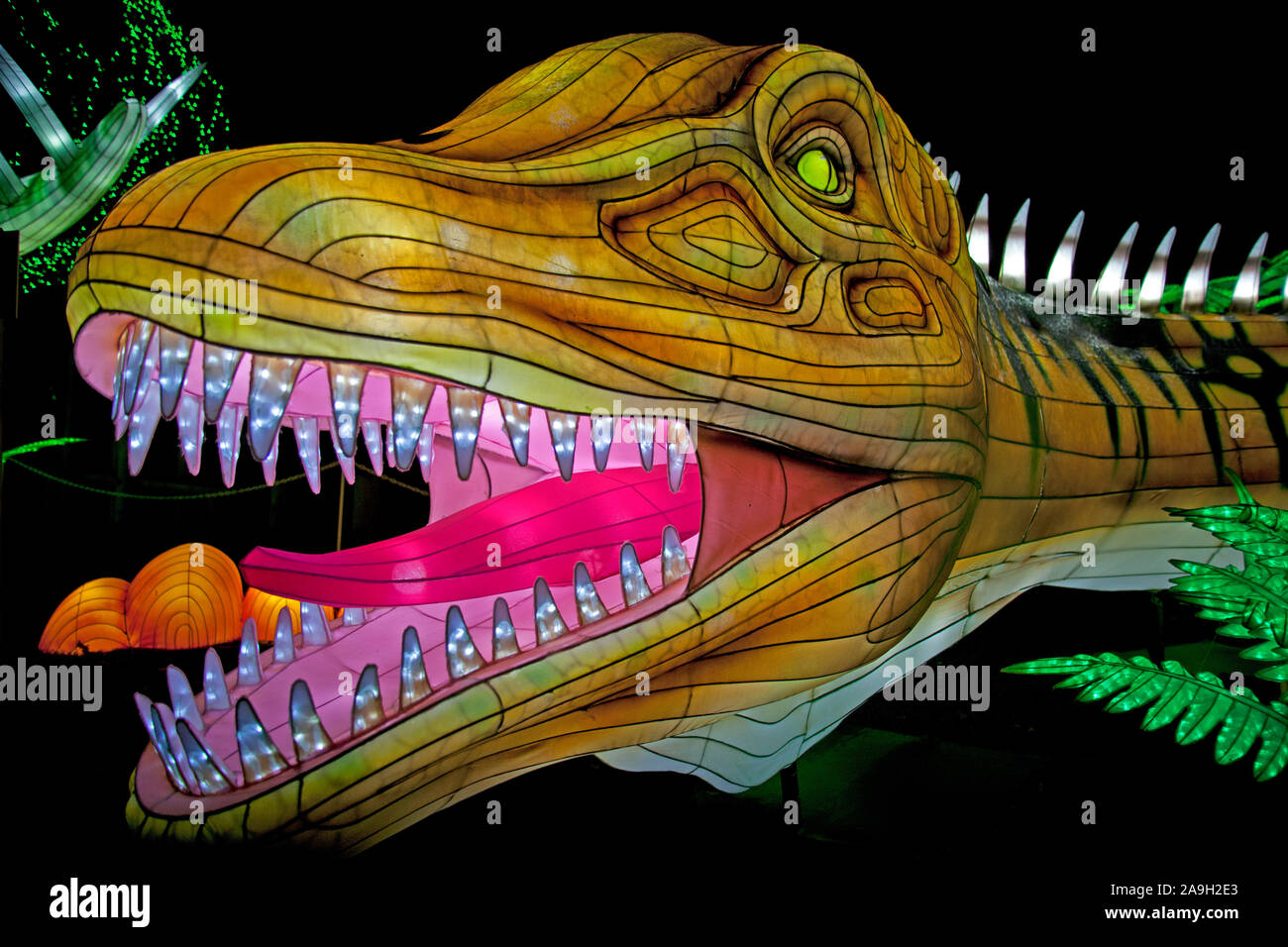Le zoo d'Edinburgh, Ecosse, Royaume-Uni. 15 novembre 2019. Les visiteurs sont arrivés dans une légère bruine pour explorer les Lost-World lanterne géante événement et être transportés à une époque où certains tentent de s'imposer, créatures étranges et merveilleux parcouraient la terre. Le découvrirez 570 millions d'années de la faune, à partir du moment où l'origine de la vie apparaît comme un éventail étourdissant de minuscules microbes, à un monde où les dinosaures sont nés et l'âge de glace a cédé le pas à l'oublié géants de l'Animal Kingdom. Événement se déroule du 15 novembre au 26 janvier 2020. Banque D'Images