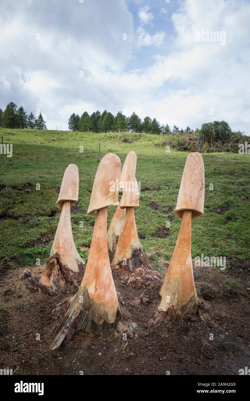 Vieilles souches d'arbre sculpté dans les champignons sur l'Alpi di Siusi près de Ortisei Banque D'Images