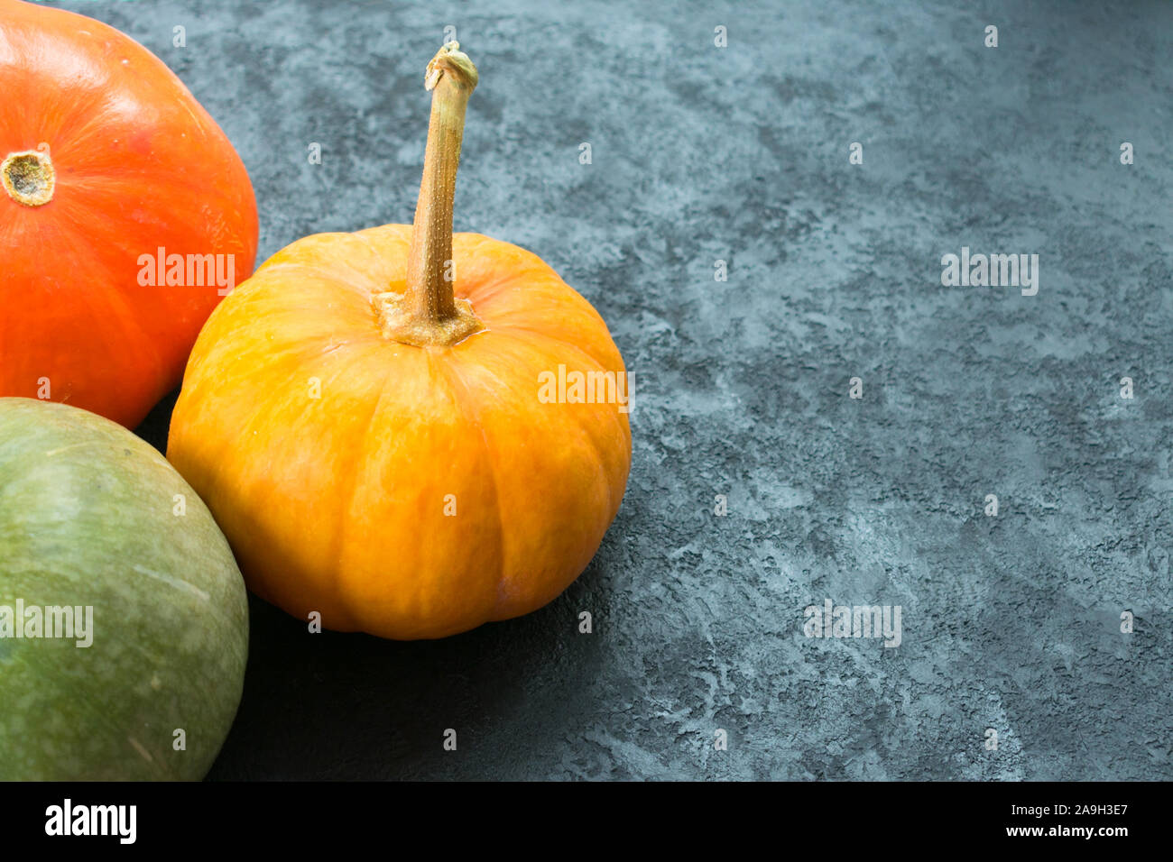 Trois citrouilles de différentes couleurs sur un fond noir. Copier l'espace. Banque D'Images