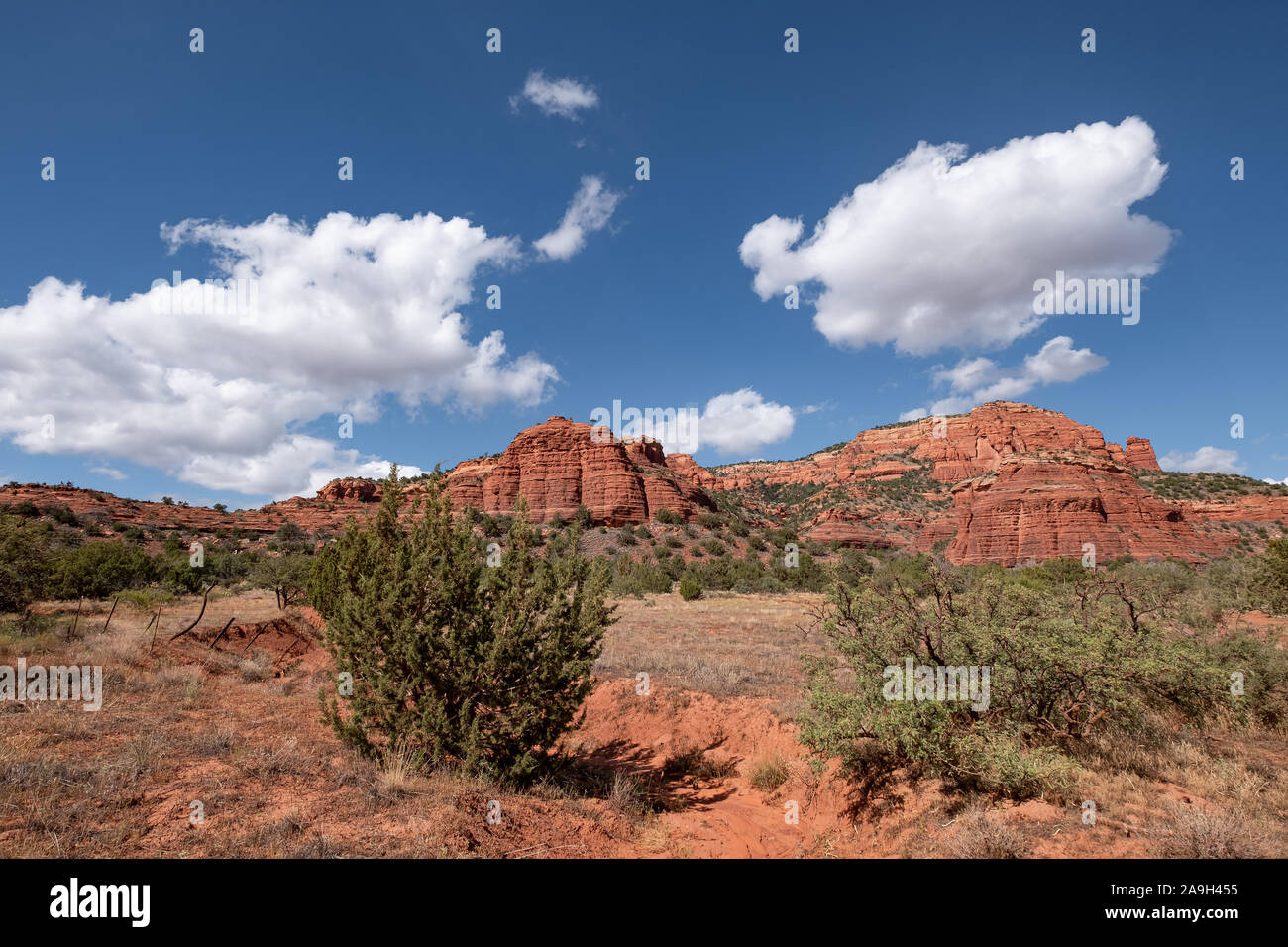 Chaîne de montagnes et des formations de roche rouge dans une nature magnifique à Sedona, Arizona Banque D'Images
