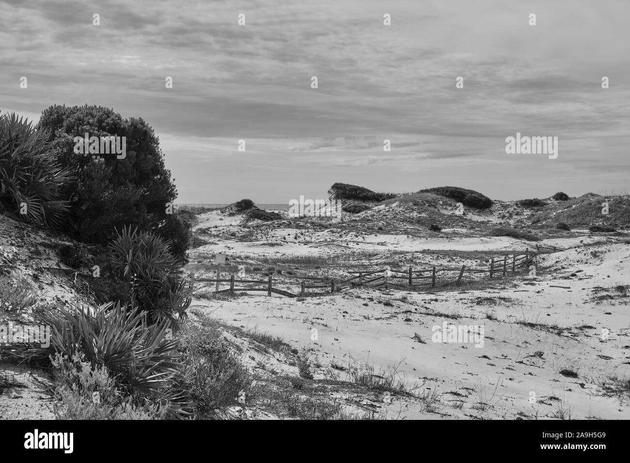 Florida coastal dunes de sable blanc et d'un split clôture près de la plage de la côte du Golfe à Watersound en Floride, aux États-Unis. Banque D'Images