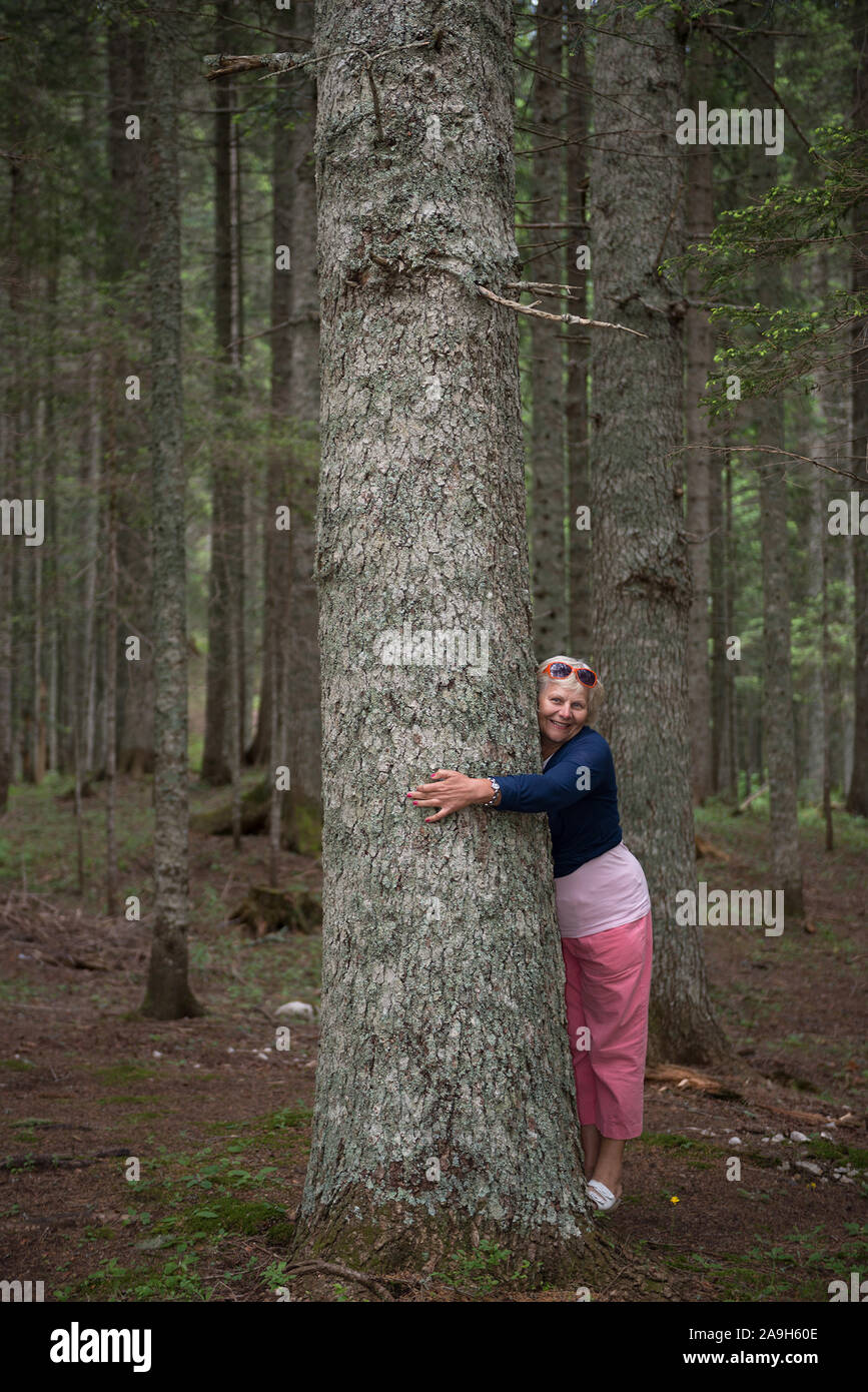 De smiling blonde woman hugging est grand tronc d'arbre dans le parc national de Durmitor Zabljak, ville du Monténégro. Banque D'Images