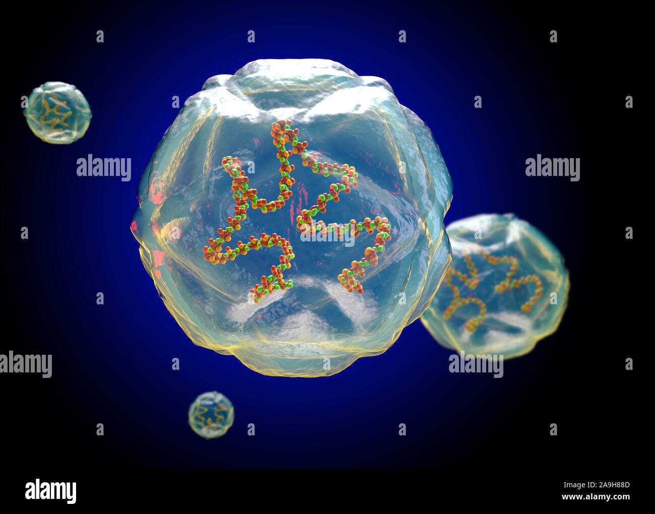 Structure Le virus Coxsackie, illustration Banque D'Images