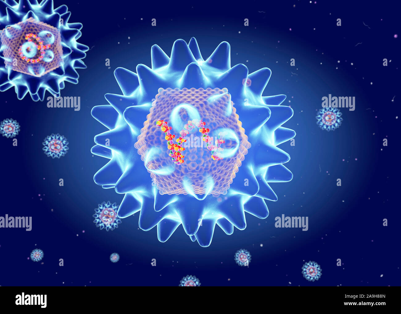 Hanta virus structure, illustration Banque D'Images
