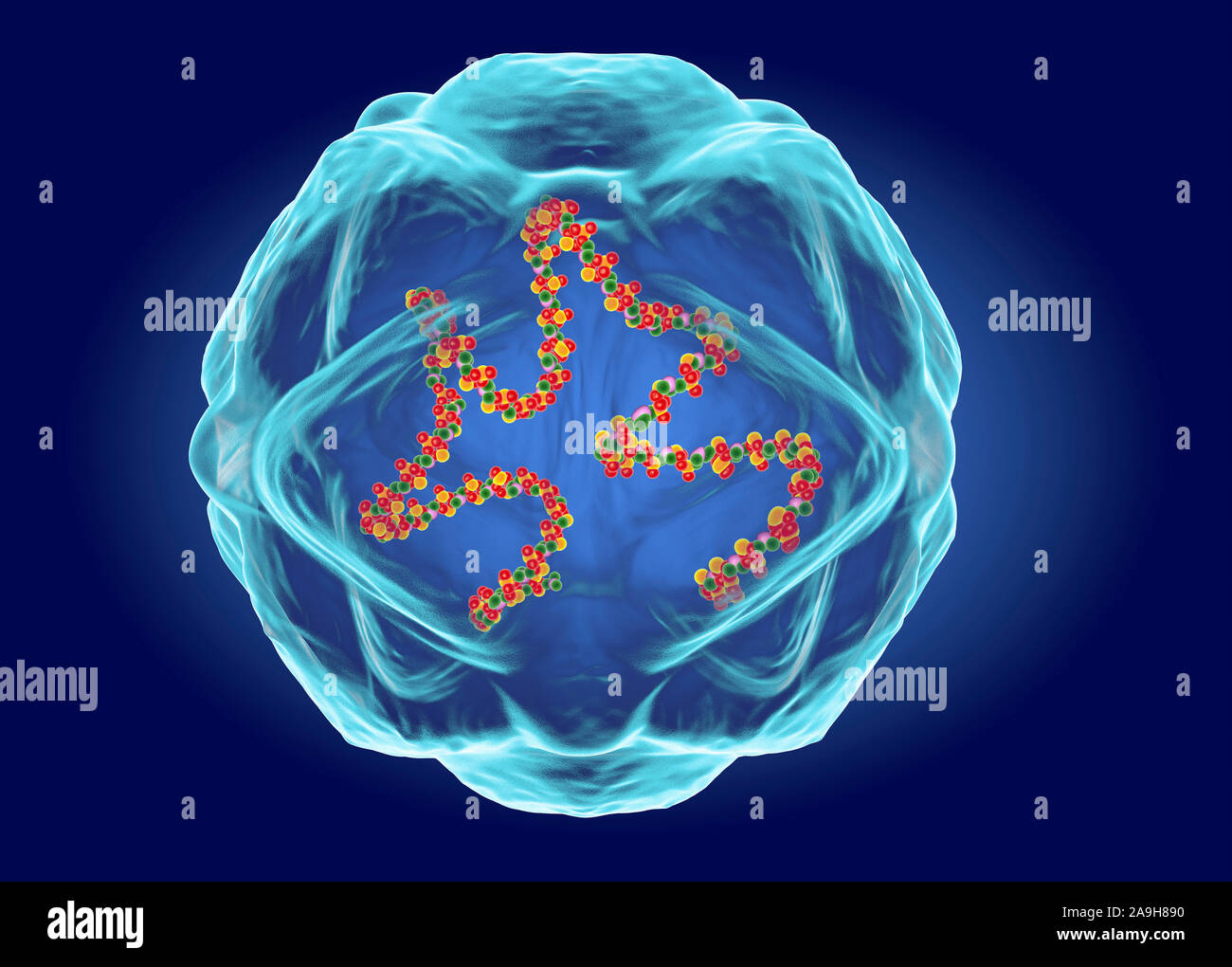 Structure Le virus Coxsackie, illustration Banque D'Images