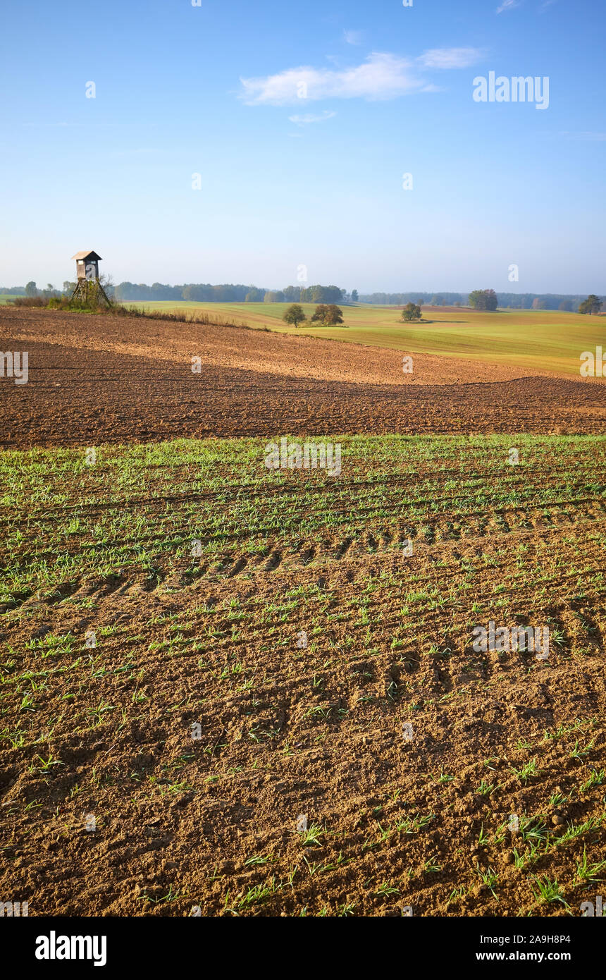 Les terres agricoles d'automne chaud en paysage lumière du soleil du matin. Banque D'Images