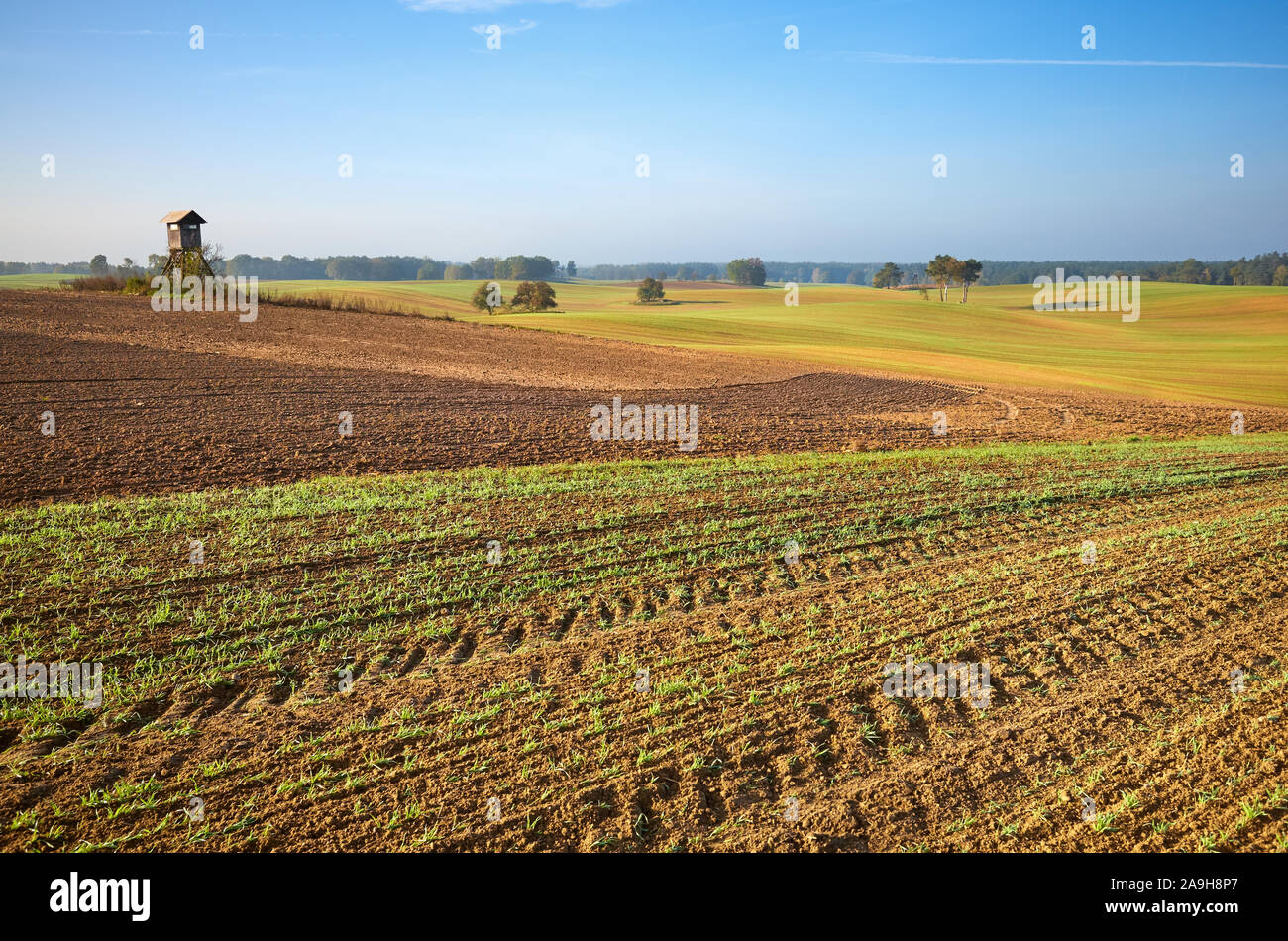 Les terres agricoles d'automne chaud en paysage lumière du soleil du matin. Banque D'Images