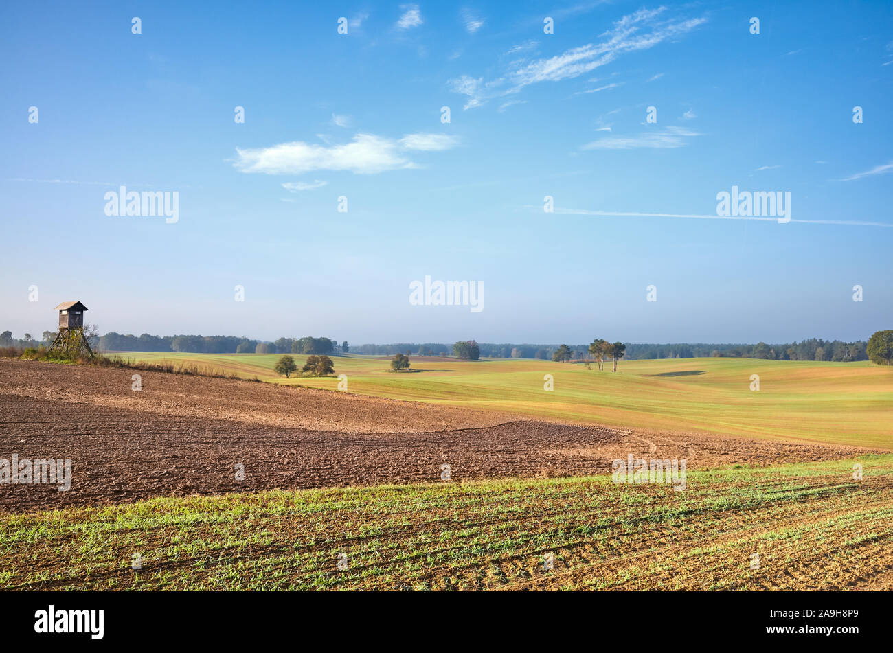 Les terres agricoles d'automne chaud en paysage lumière du soleil du matin. Banque D'Images