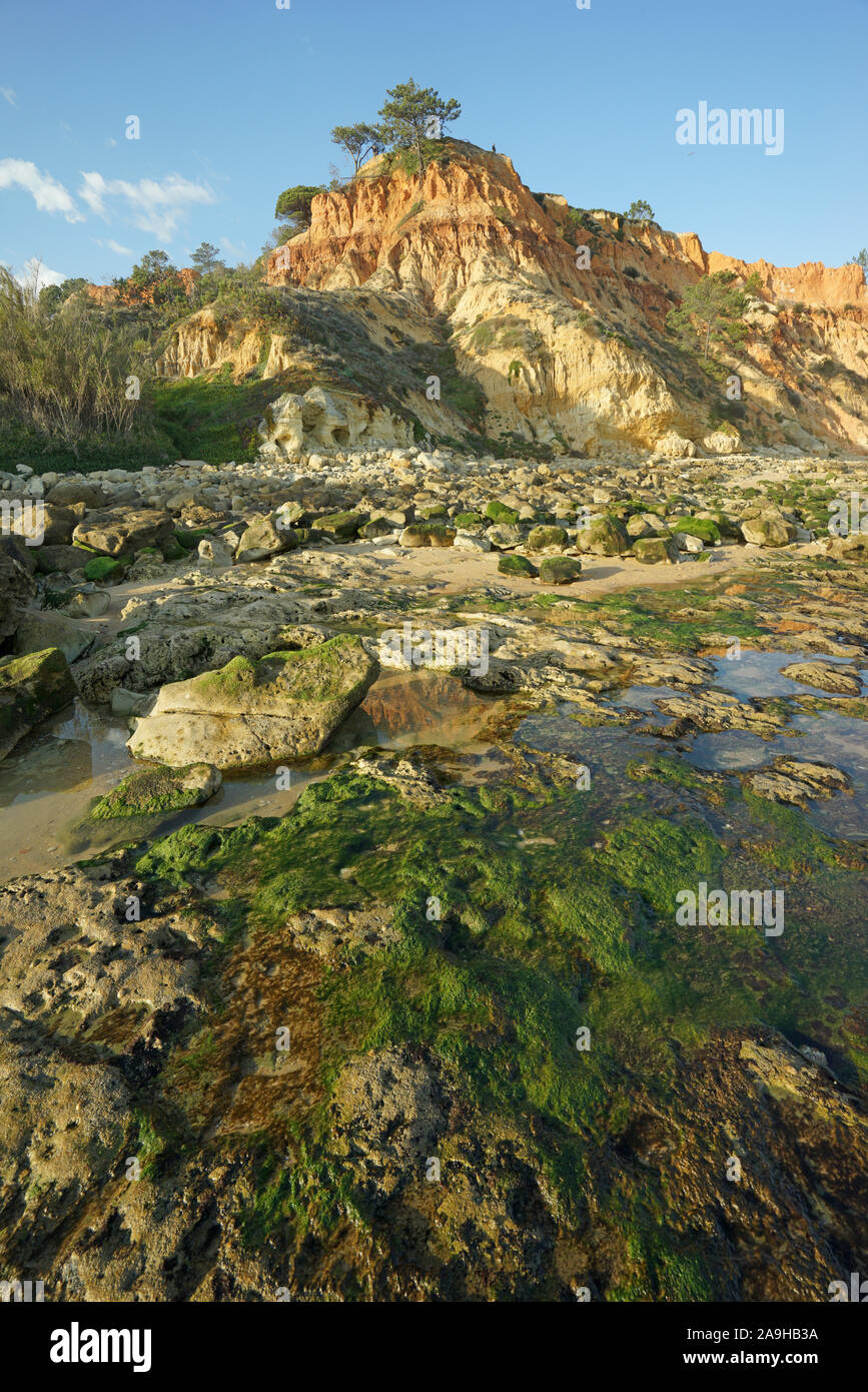 Europa, Portugal, Algarve, steinige Kueste an der Algarve bei Ebbe Banque D'Images